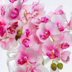 Selyem orchidea NATÁLIA halvány rózsaszín. Ár/darab.