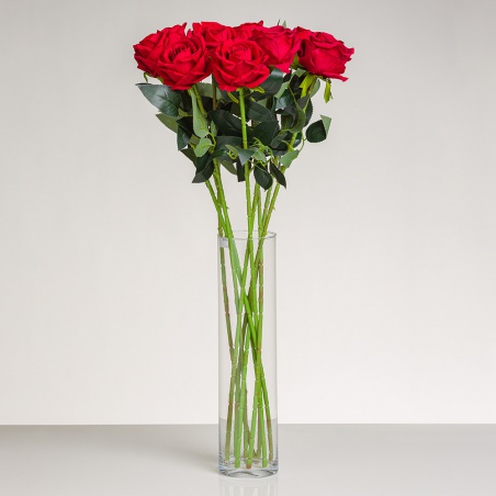 Dlhá zamatová ruža TINA XL priemer 10cm L 75cm v červenej farbe. Cena je uvedená za 1 kus.