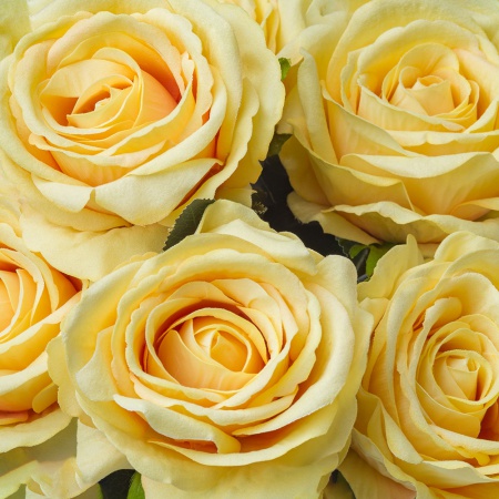 Dokonalá zamatová ruža LILI žltá. Cena je uvedená za 1 kus.