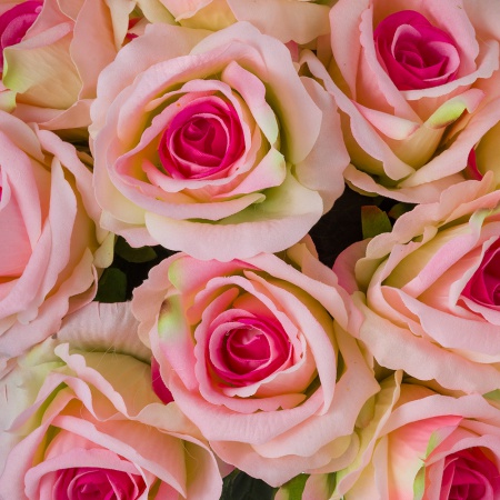 Dokonalá zamatová ruža LILI bieloružová. Cena je uvedená za 1 kus.