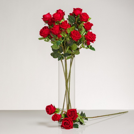 Krásna zamatová ruža KARMEN. Cena je uvedená za 1 kus.