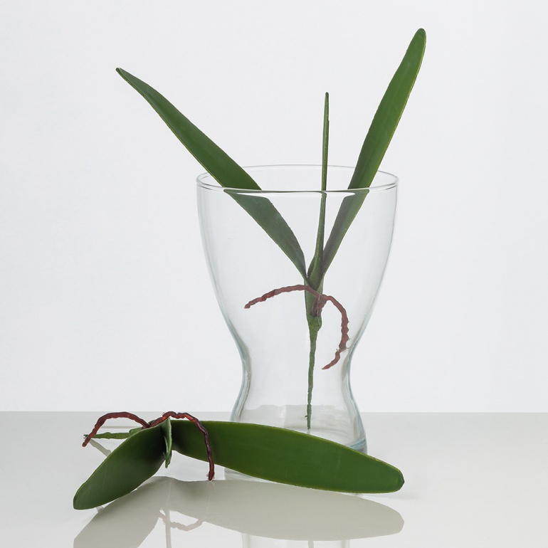 Umelý list orchidey ZDENKA. Cena je uvedená za 1 kus. Umelý list orchidey ZDENKA. Cena je uvedená za 1 kus.