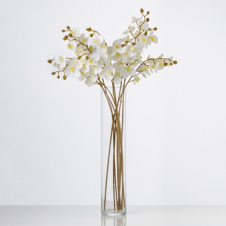 Kvalitná orchidea KARINA biela. Cena je uvedená za 1 kus.