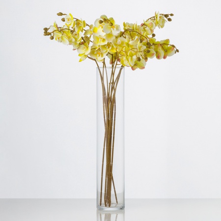 Kvalitná orchidea KARINA žltokrémová. Cena je uvedená za 1 kus.