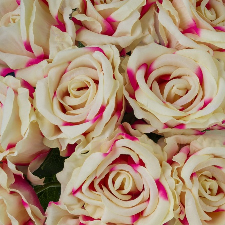 Dlhá zamatová ruža TINA v ružovokrémovej farbe. Cena je uvedená za 1 kus.