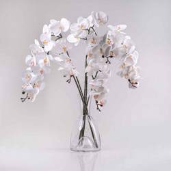 Selyem orchidea KLAUDIA fehér. Ár/darab.